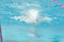 Enlarge photo 337