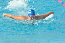 Enlarge photo 338