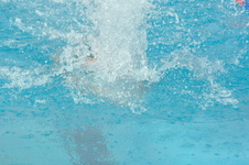 Enlarge photo 340