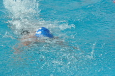 Enlarge photo 341