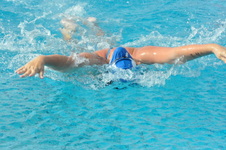 Enlarge photo 344