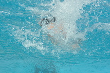 Enlarge photo 345