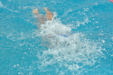 Enlarge photo 346