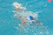 Enlarge photo 347