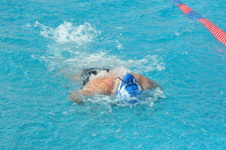Enlarge photo 348