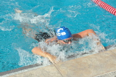 Enlarge photo 351
