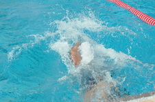Enlarge photo 355