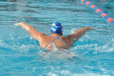 Enlarge photo 357