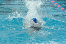 Enlarge photo 358