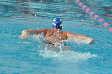 Enlarge photo 359