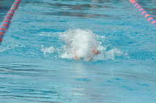 Enlarge photo 367