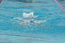 Enlarge photo 368