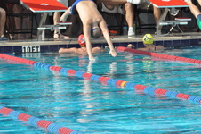 Enlarge photo 379