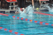 Enlarge photo 380