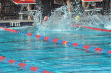 Enlarge photo 381