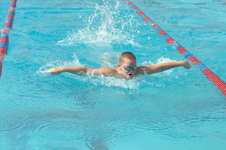 Enlarge photo 384