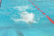 Enlarge photo 385