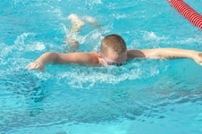 Enlarge photo 388