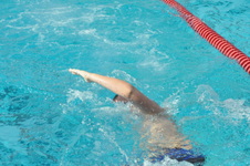 Enlarge photo 392