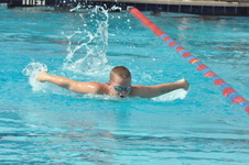 Enlarge photo 394