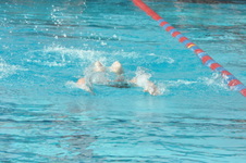 Enlarge photo 395