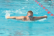Enlarge photo 399
