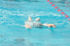 Enlarge photo 400