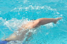 Enlarge photo 405
