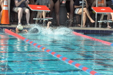 Enlarge photo 414
