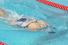 Enlarge photo 417