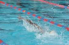 Enlarge photo 419
