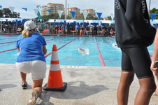 Enlarge photo 425
