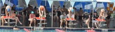 Enlarge photo 429