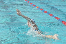 Enlarge photo 435
