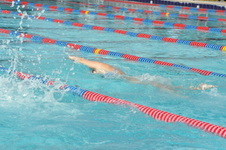 Enlarge photo 437