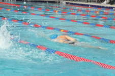 Enlarge photo 438