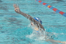 Enlarge photo 440