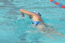 Enlarge photo 441