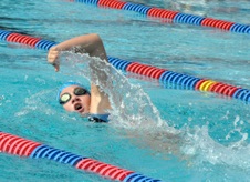 Enlarge photo 443