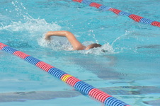 Enlarge photo 451