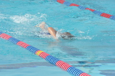 Enlarge photo 452