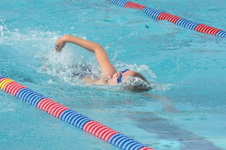 Enlarge photo 453