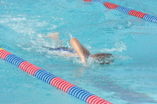 Enlarge photo 454