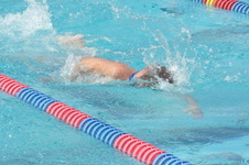 Enlarge photo 455