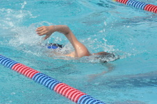 Enlarge photo 456