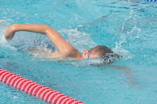 Enlarge photo 457