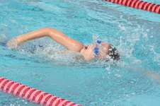Enlarge photo 458