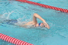 Enlarge photo 459