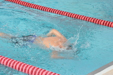 Enlarge photo 460