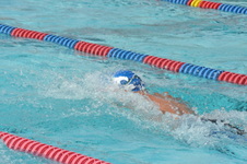 Enlarge photo 463